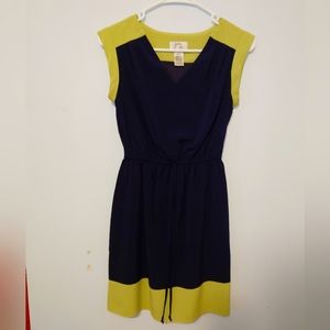 Navy & Green Dress